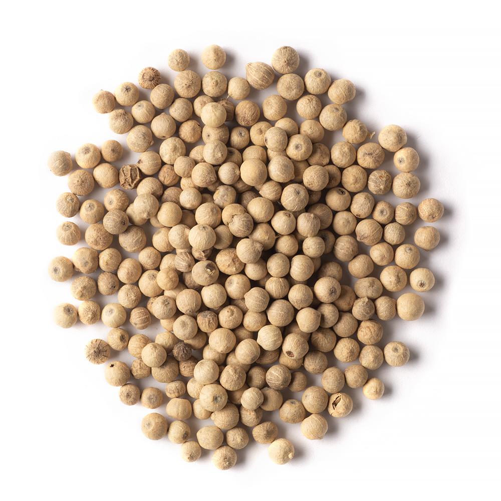 Gathering Place Trading Organic White Peppercorns | Senior Living Essentials | Overseas Purchasing