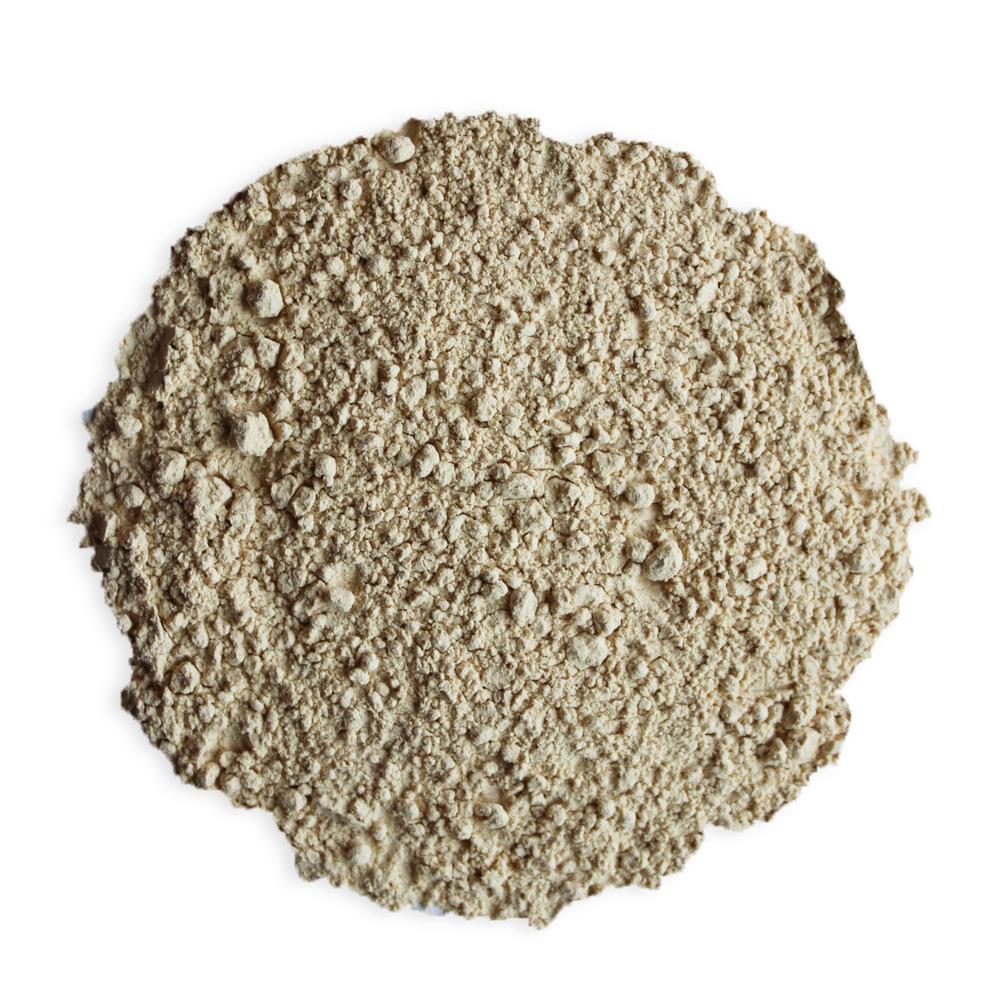 Gathering Place Trading Organic Garlic Powder | Senior Living Essentials | Overseas Purchasing