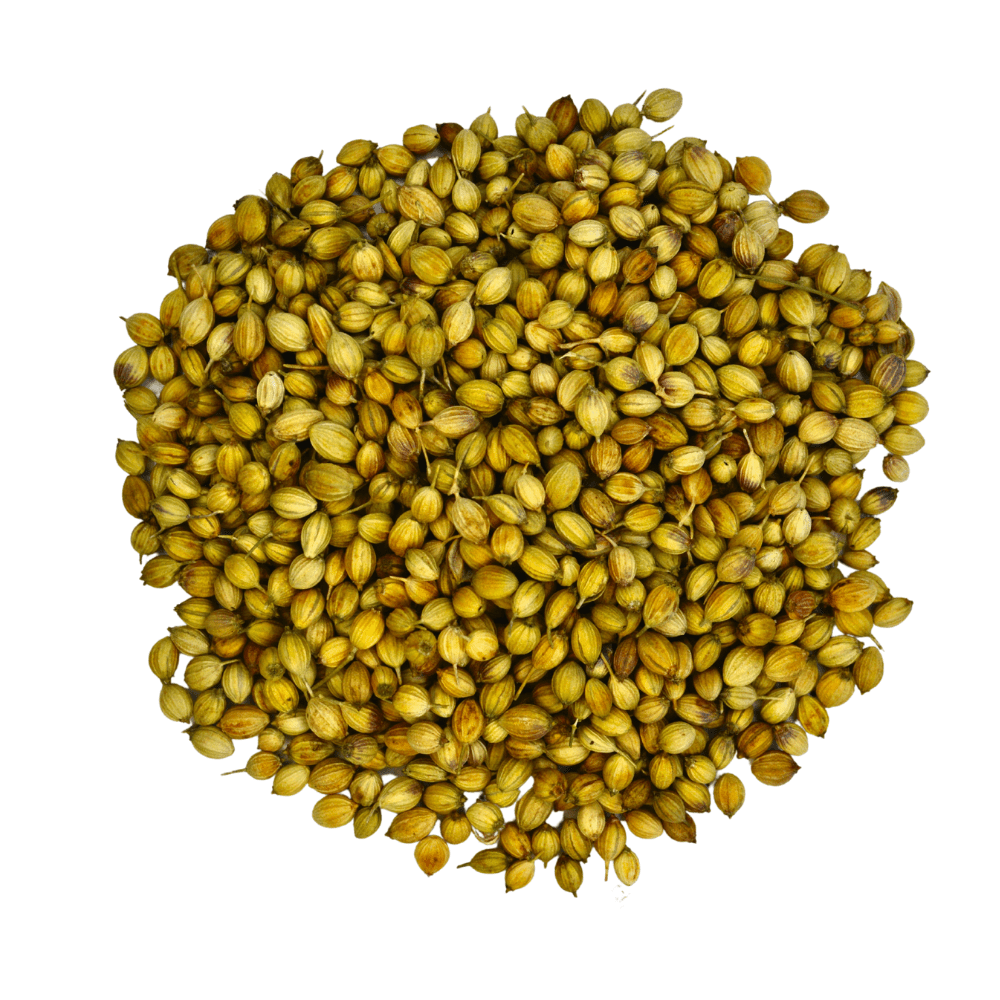 Gathering Place Trading Organic Whole Coriander Seeds | Senior Daily Living | Overseas Purchasing