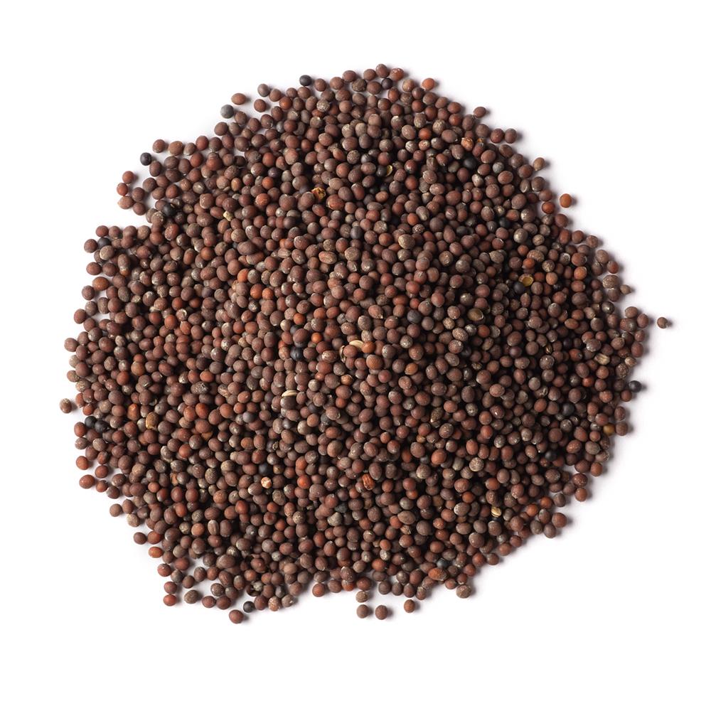 Gathering Place Trading Organic Brown Mustard Seeds | Senior Daily Living | Overseas Purchasing