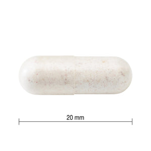 Jamieson 50+ 成人益生菌複合配方 (30粒 x 3樽) 產品圖片 4