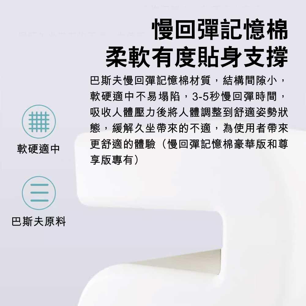 Microtouch人體工學腰靠護腰支撐腰墊 (豪華版｜記憶棉) - 樂耆同行 Lohas Elderly－香港樂齡長者用品專門店